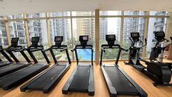 Dunman Road (D15), Condominium #609478081